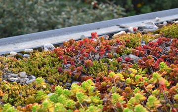 the cost of Lislane green roof installation