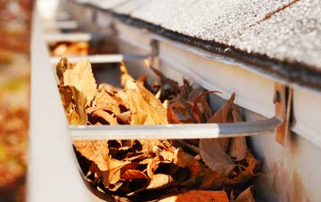 Lislane gutter cleaning companies