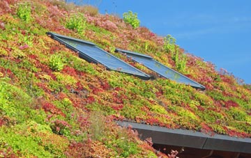 Lislane living roof systems