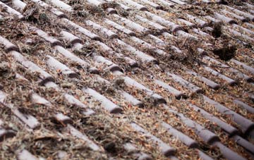 Lislane roof cleaning companies