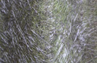 Lislane fibreglass roof work