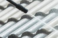 rated Lislane roof cleaning companies